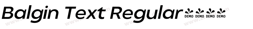 Balgin Text Regular字体转换
